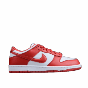Nike SB Dunk Low
