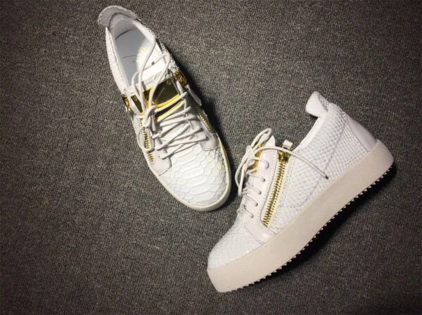 Zanotti - immagine 2