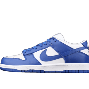 Nike SB Dunk Low