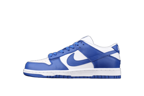 Nike SB Dunk Low